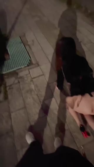 ['asian', 'dog', 'petplay', 'public']